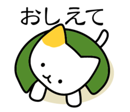 KAME NEKO turtle cat sticker #1756921