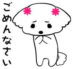 Maltese dog, 'Milk' sticker #1762448