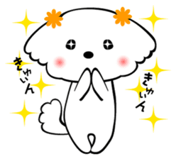 Maltese dog, 'Milk' sticker #1762450