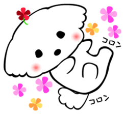 Maltese dog, 'Milk' sticker #1762452