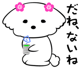 Maltese dog, 'Milk' sticker #1762459