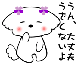 Maltese dog, 'Milk' sticker #1762463