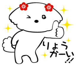 Maltese dog, 'Milk' sticker #1762467