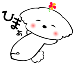 Maltese dog, 'Milk' sticker #1762471