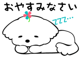 Maltese dog, 'Milk' sticker #1762478