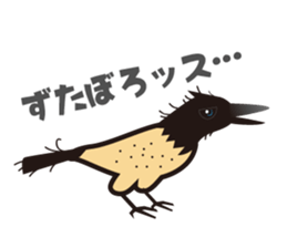 KOAKKUMA&AKKUMA(Variety) sticker #1763117