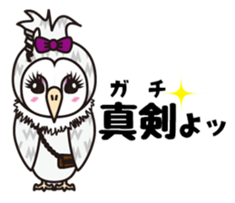 KOAKKUMA&AKKUMA(Variety) sticker #1763118