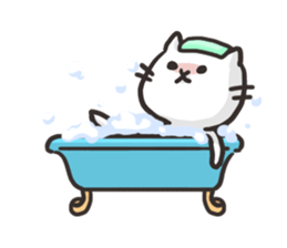 Pretty white cat sticker #1763341