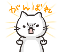 Pretty white cat sticker #1763354