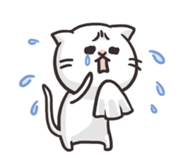 Pretty white cat sticker #1763357