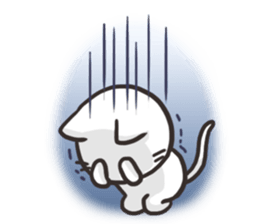 Pretty white cat sticker #1763358