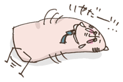 chief of thumb sticker #1763913