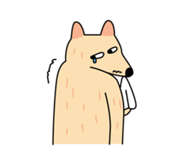 Daily fox sticker #1764614