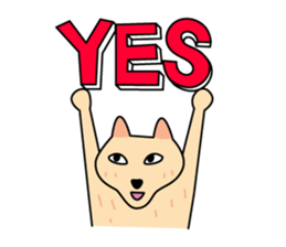 Daily fox sticker #1764637