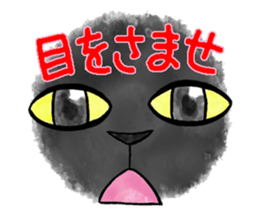 pants cats sticker #1765763