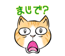 pants cats sticker #1765775