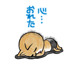 pants cats sticker #1765785