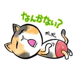 pants cats sticker #1765790