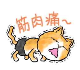pants cats sticker #1765791