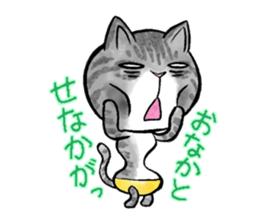 pants cats sticker #1765794
