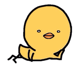 Chicks Hiyoko sticker #1766997