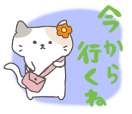 Conversation sticker of the cat sticker #1768188