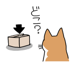 Box lover cats sticker #1768217