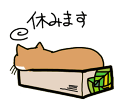 Box lover cats sticker #1768218