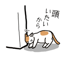 Box lover cats sticker #1768219