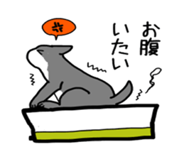 Box lover cats sticker #1768220