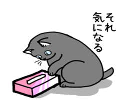 Box lover cats sticker #1768222