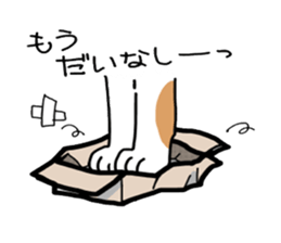 Box lover cats sticker #1768223
