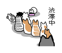 Box lover cats sticker #1768226