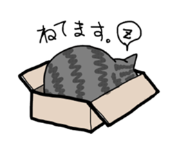 Box lover cats sticker #1768227