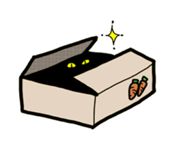 Box lover cats sticker #1768228