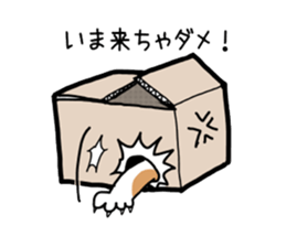 Box lover cats sticker #1768230