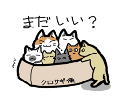Box lover cats sticker #1768232