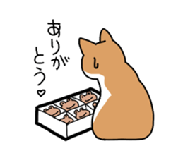 Box lover cats sticker #1768235