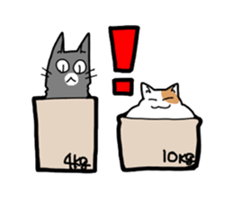 Box lover cats sticker #1768236