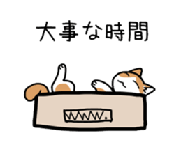 Box lover cats sticker #1768238
