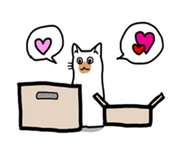 Box lover cats sticker #1768239