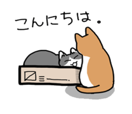 Box lover cats sticker #1768243