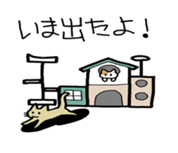 Box lover cats sticker #1768245