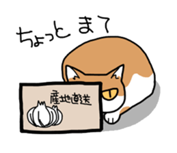 Box lover cats sticker #1768248