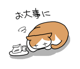 Box lover cats sticker #1768250