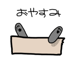 Box lover cats sticker #1768252