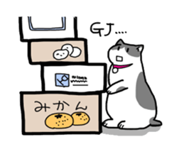 Box lover cats sticker #1768253