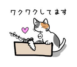 Box lover cats sticker #1768254