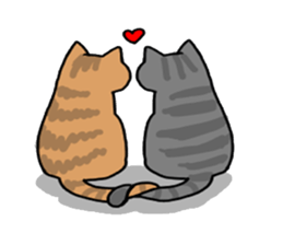 Box lover cats sticker #1768255