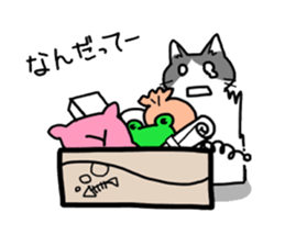 Box lover cats sticker #1768256